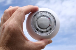 Business Management – Temperature or Thermostat?